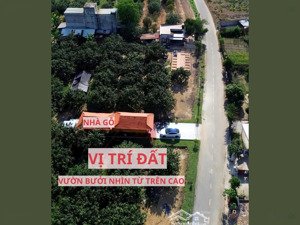 đất thổ cư có sẵn vườn bưởi - mặt tiền kinh doanh chỉ 950 triệu