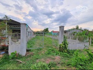 chủ ngộp bán nhanh lô đất xã thái mỹ, củ chi. diện tích 407.6m2. shr giá 900 triệu