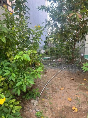 bán gấp lô đất full thổ cư 115m2 bình khánh cần giờ. khi dân cư an ninh đông đúc giá 1,9 tỷ có tl