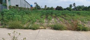 bán đất mặt tiền nhựa tân hưng thổ cư 50m2 chỉ 9xxtr