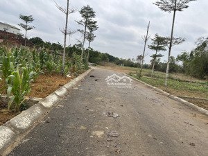 100m2 full tại thôn 5 phú cát khu cnc hoà lạc. vị trí nằm trong vùng lõi khu cnc hoà lạc .