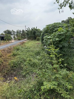 đất 2 mặt tiền đường trung lập hạ (nhuận đức mới) củ chi, tp hồ chí minh