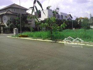 bán nền đất 8x20 khu dân cư văn minh sông giồng phường an phú 31,5 tỷ