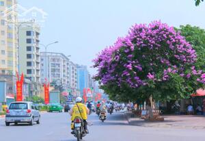 Nhà đẹp ở luôn, Đào Tấn, Ba Đình, Mặt tiền rộng, Gần phố, Ngõ thông, 40m2 chỉ nhỉnh 7 tỷ