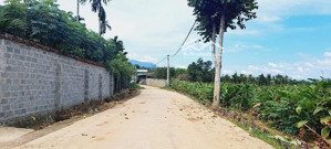 cần bán lô góc vuông đẹp 2018m2, 400m2 thổ cư, tại thôn 9 xã ba trại cũ nay là xã suối hai