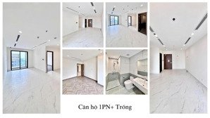 giỏ hàng hơn 100 căn hộ vinhomes studio, 1pn, 2pn, 3pn nhà giá chỉ từ 4.5tr/tháng