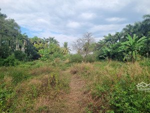 bán đất nông nghiệp mặt tiền đường ven sông đồng nai, quận 9