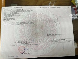 bán mảnh 48.9m2 thổ cư thôn đào nguyên xã an khánh mới trục chính kinh doanh