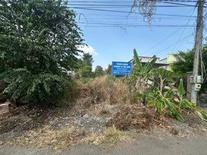 bán đất 280m2 tại xã hòa bình, xuyên mộc, bà rịa vũng tàu, giá thỏa thuận