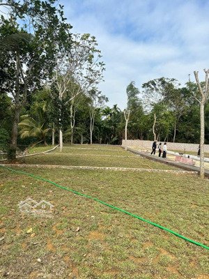 350 triệu sở hữu ngay một lô đất sát tổ hợp khoáng của tập đoàn sungroup