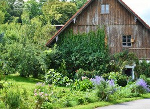 121.5m² đất thổ cư, gần trạm y tế, sát tp bảo lộc. giá chỉ 600tr