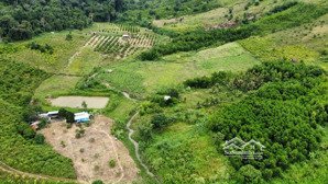 bán đất gia lai 5100m2 sổ hồng riêng (xã sơ pai - huyện kbang) chỉ 510 triệu