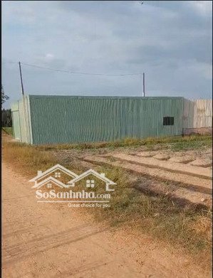 bán trang trại gà mini 1795m², long thuận, tây ninh, có sẵn nhà 100m²