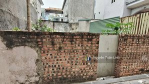 đất đẹp 46m2 nghĩa vũ, dục tú - sát cầu tứ liên - ô tô nhỏ đỗ cửa