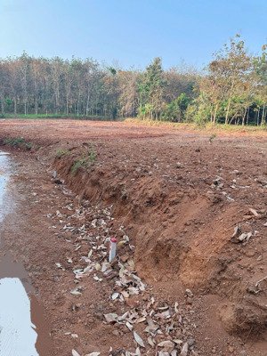 chính chủ kẹt tiền bán gấp đất đồng nai giá chỉ 199 triệu/ 340m2