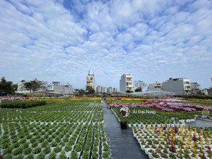 bán lô đất mt đường thuỷ sơn 5 - trục thông . dt : 125m . lh : ( mr. ái đại nam )