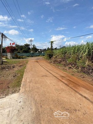 ngang 16m dt 1000m2 bán nhanh 95 triệu quan tâm liên hệ e nhé, có 2 lô gần quốc lộ 14