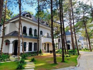 suất ngoại giao thanh xuân valley, 140 triệu/m2, 1300 m2, xã ngọc thanh, phúc yên, vĩnh phúc