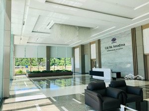 bán liền kề cát bà amatina trung tâm đảo cát bà