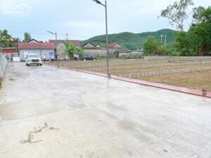  NỀN CUỐI AN ĐÔ - HƯƠNG CHỮ – 480 TRIỆU