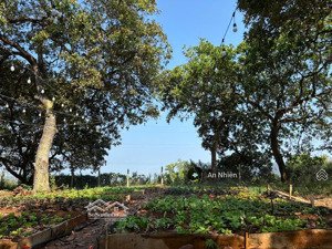 chủ thua lỗ cần bán gấp vườn view hồ trị an, giá chỉ 995tr