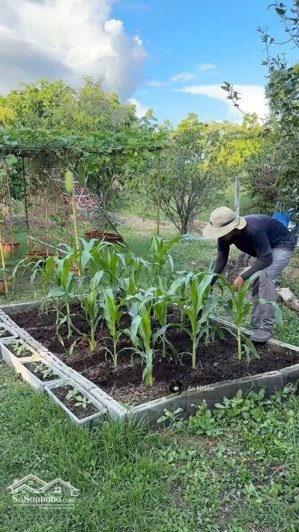 chỉ 850 triệu sở hữu mảnh vườn riêng cạnh hồ trị an