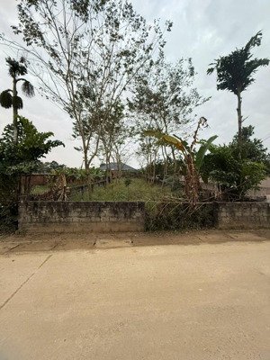 chính chủ cần bán lô đất sẵn sổ, mặt tiền gần 9m.giá thật 15.5tr/m2