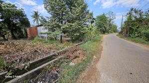 7x50 có thổ, đường nhựa thông vào KCN Phước Đông. 1,1 tỷ