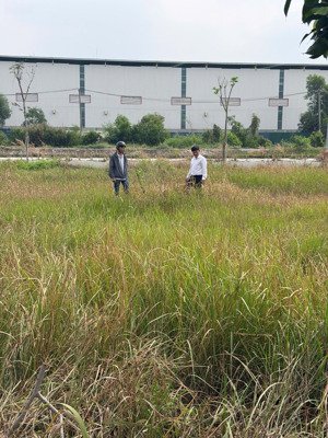 đất nền f0. thổ cư full cần bán gấp