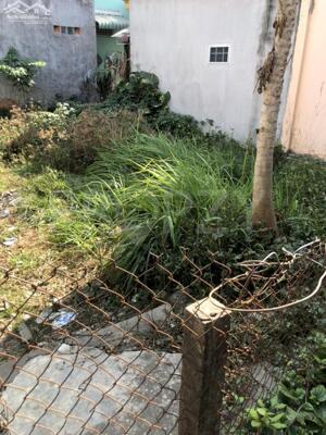 Bán Đất Cầu Ông Thìn, Quốc lộ 50