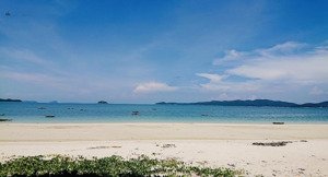 tặng 200m2 vườn cho bác nào mua đất trước tết (có hoa hồng cho ace mg)