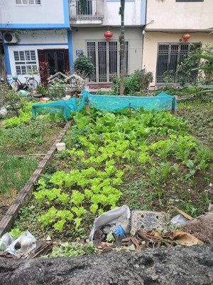 cực hiếm đông mỹ oto thông chào 4,150ty