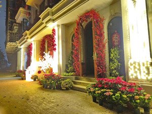 căn thưởng 50m2 xây 5 tầng giá net 11,6 siêu hiếm tại noble palace tây thăng long