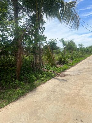 đất cần bán tại phú tân, định quán - 145.7m2 - đường oto chạy được, thông tứ phía