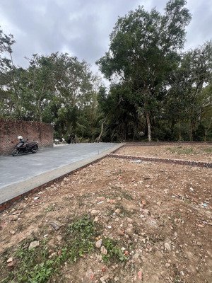 bên em ra bảng hàng fo phân lô ô tô tránh tại phú hữu thanh lâm mê linh giá công nhân