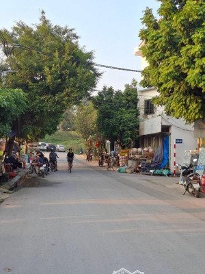 bán đất lệ chi- gia lâm- đường trước nhà 11m( nói 0 với ảo)