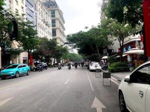 Mặt Phố Hai Bà Trưng HK 5 Tầng Thang Máy MT 5,2M 120 Tỷ -Nở hậu