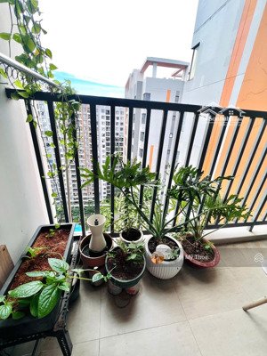 không thể bỏ lỡ hàng hiếm giá tốt: safira 2pn 2wc ntcb 8 triệu (có máy lạnh)