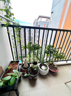 KHÔNG THỂ BỎ LỠ HÀNG HIẾM GIÁ TỐT: SAFIRA 2PN 2WC NTCB 8 TRIỆU (Có máy lạnh)