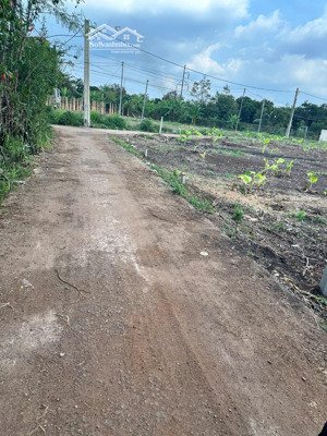 #đất long khánh,dt: 5,2m x 24m nở hậu 5,9m giá 850 triệu