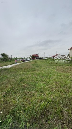 bán đất tại minh tiến, 1,45 tỷ, 60m2, đồ sơn, hải phòng