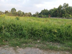 bán đất tại xã trung lập thượng, củ chi, hcm giá tốt 7,3 tỷ, 1480 m2