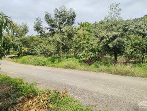 chính chủ bán nhanh 200m2 tại xã hoà ninh, di linh, lâm đồng, 2,25 tỷ