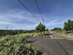 bán đất tại xã hoà ninh, di linh, lâm đồng, 1,35 tỷ, chính chủ