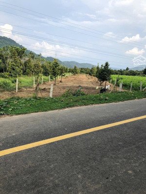 kẹt xử lý công việc cuối năm cần bán gấp lô siêu đẹp xã hoà bắc, di linh, lâm đồng