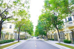 quỹ căn shophouse liền kề an lạc diện tích từ 90m - vị trí sát đường 3,5 khu tập chung chung cư