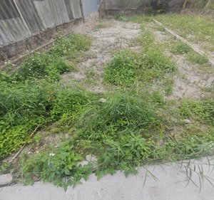 bán mảnh đất thôn 3 vạn phúc, 82m2, giá đầu tư, sổ đỏ chuẩn pháp lý