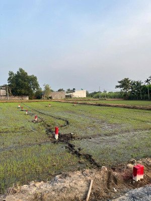 bán đất bình lợi hkđ chính chủ, giá rẻ, sổ hồng, dân đông 590 triệu/ nền