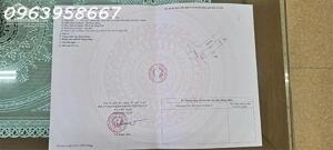 Suất đất lô góc mặt tiền 21 mét siêu phẩm tại Tống Phan, Phù Cừ, Hưng Yên