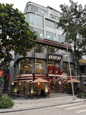 cực phẩm cho thuê nhà mặt phố huỳnh thúc kháng.diện tích t1-200m2,t2 đến 6- 70m2,mt 20m,giá 110tr